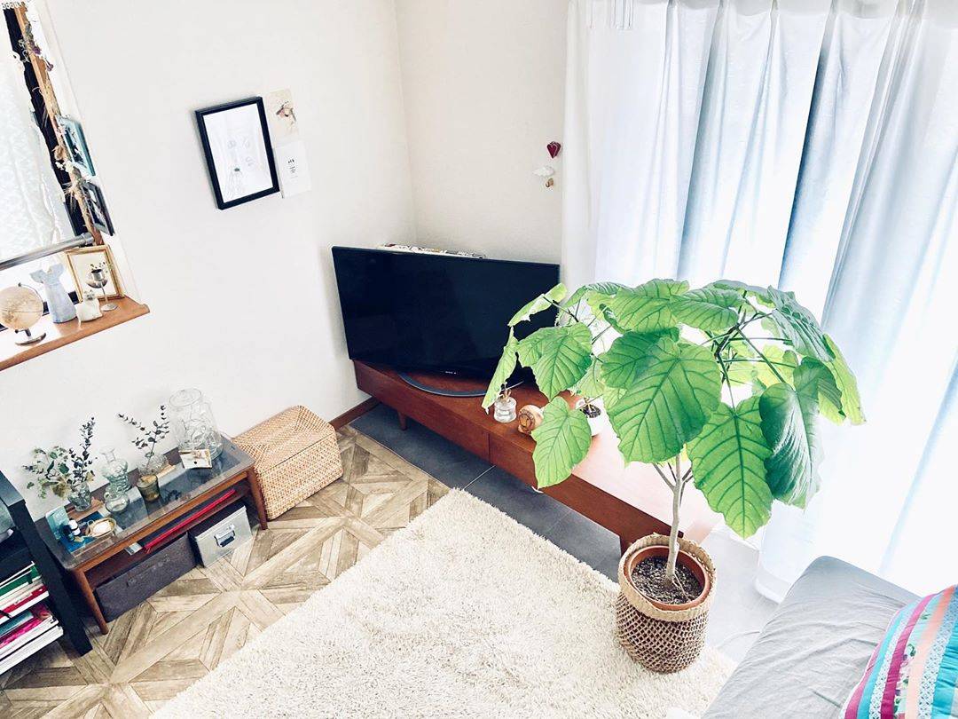 パーケット柄のクッションフロアをリビングに敷いた実例。観葉植物や木製家具、ラタン小物と調和し、上品であたたかみのある雰囲気に仕上がっている。