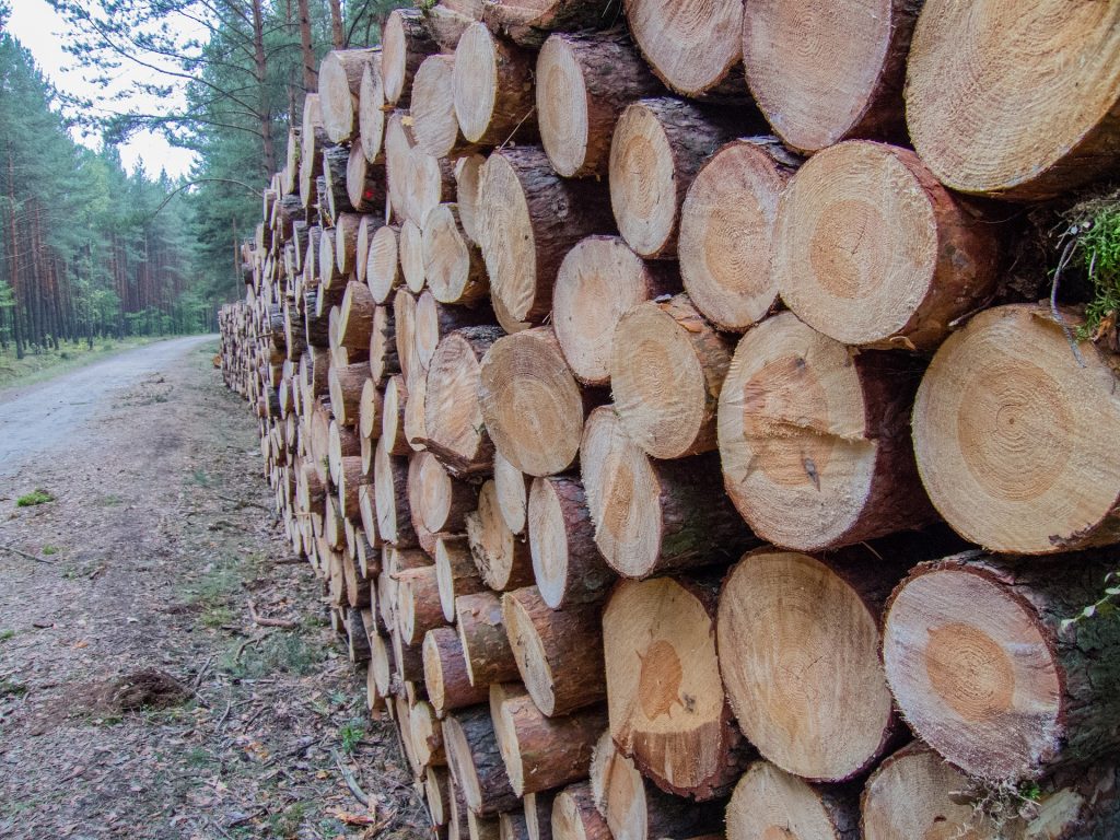 たくさん置かれた木材