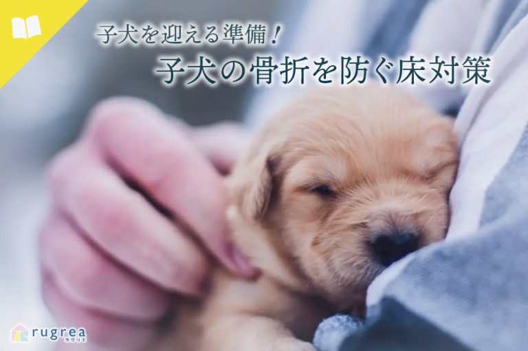 子犬を迎える準備！子犬の骨折を防ぐ床対策　