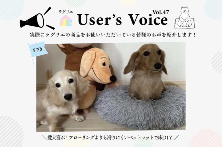 アイキャッチ画像　user'svoice