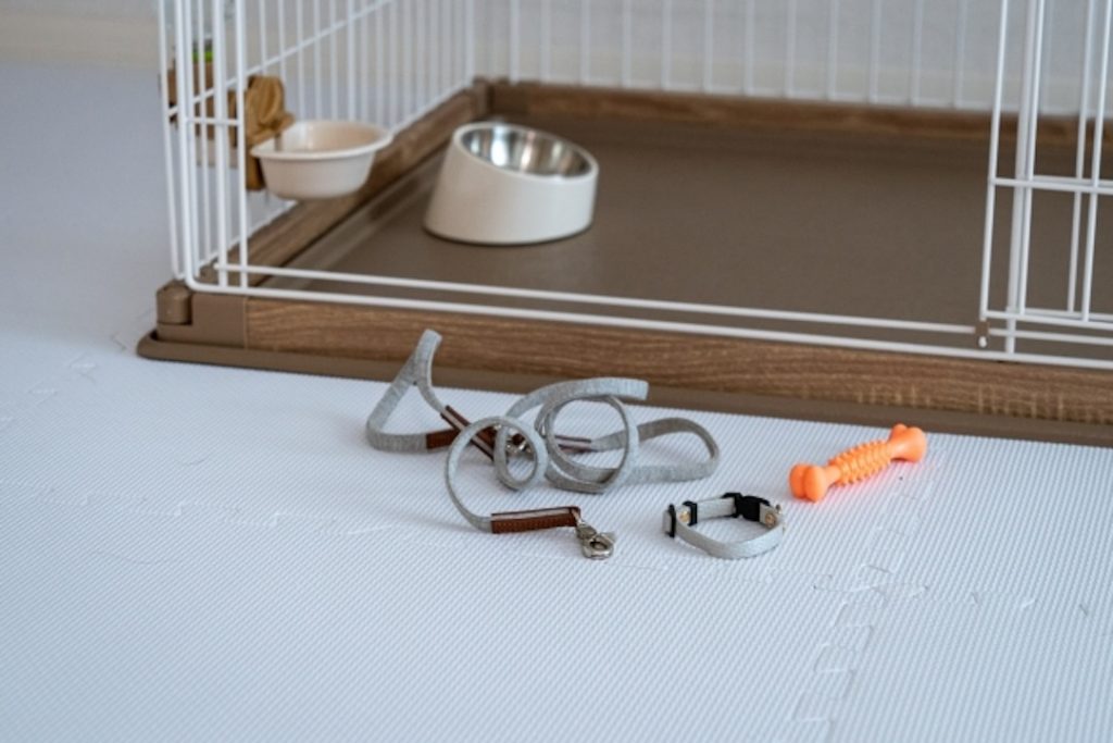 犬　ケージ　イメージ。給水器とフードボウルが置かれた、清潔な犬用ケージとリード、おもちゃ