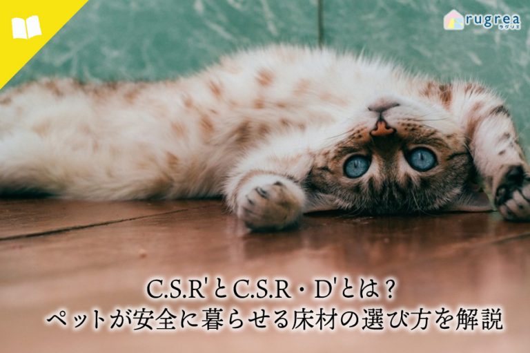 アイキャッチ画像
