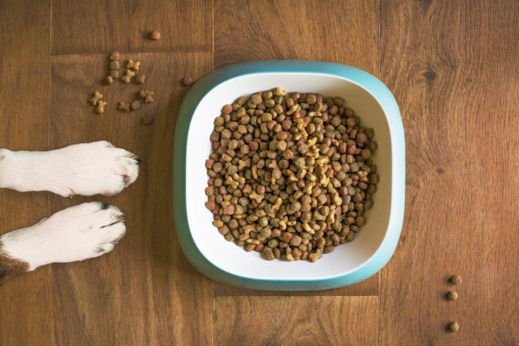床に散らばったペットフードとフードボウル。ペットの食べこぼしによる床汚れの状況を示す。