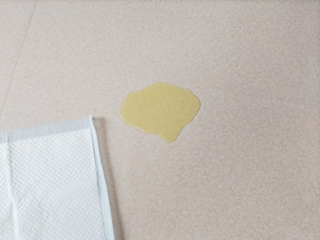 床にこぼれたペットの尿とペットシーツ。ペットの粗相による床汚れの具体的な例を示す。