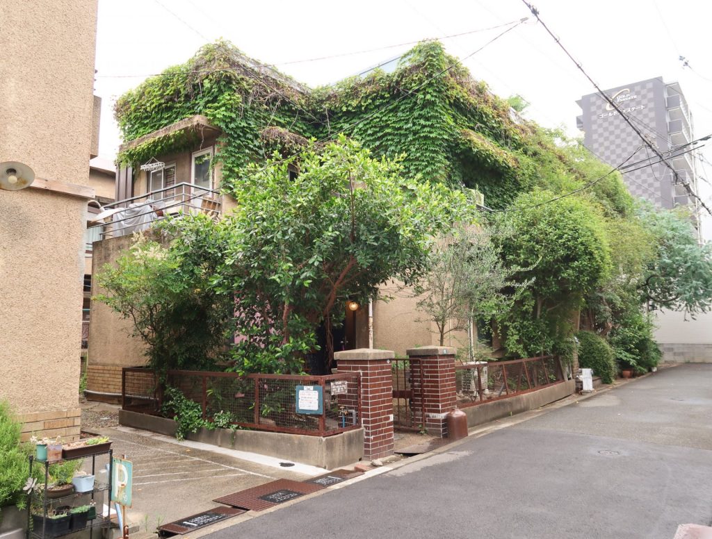 蔦に覆われたトヨクニハウスの裏手全景|緑に包まれた建物に刻まれた長い年月が印象的