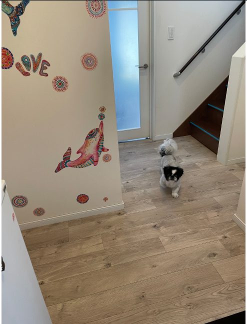 ペットマットを敷いた玄関のDIY事例。滑りにくく仕上がりの美しいホワイトオーク柄の床で、犬も安心して歩ける玄関スペース