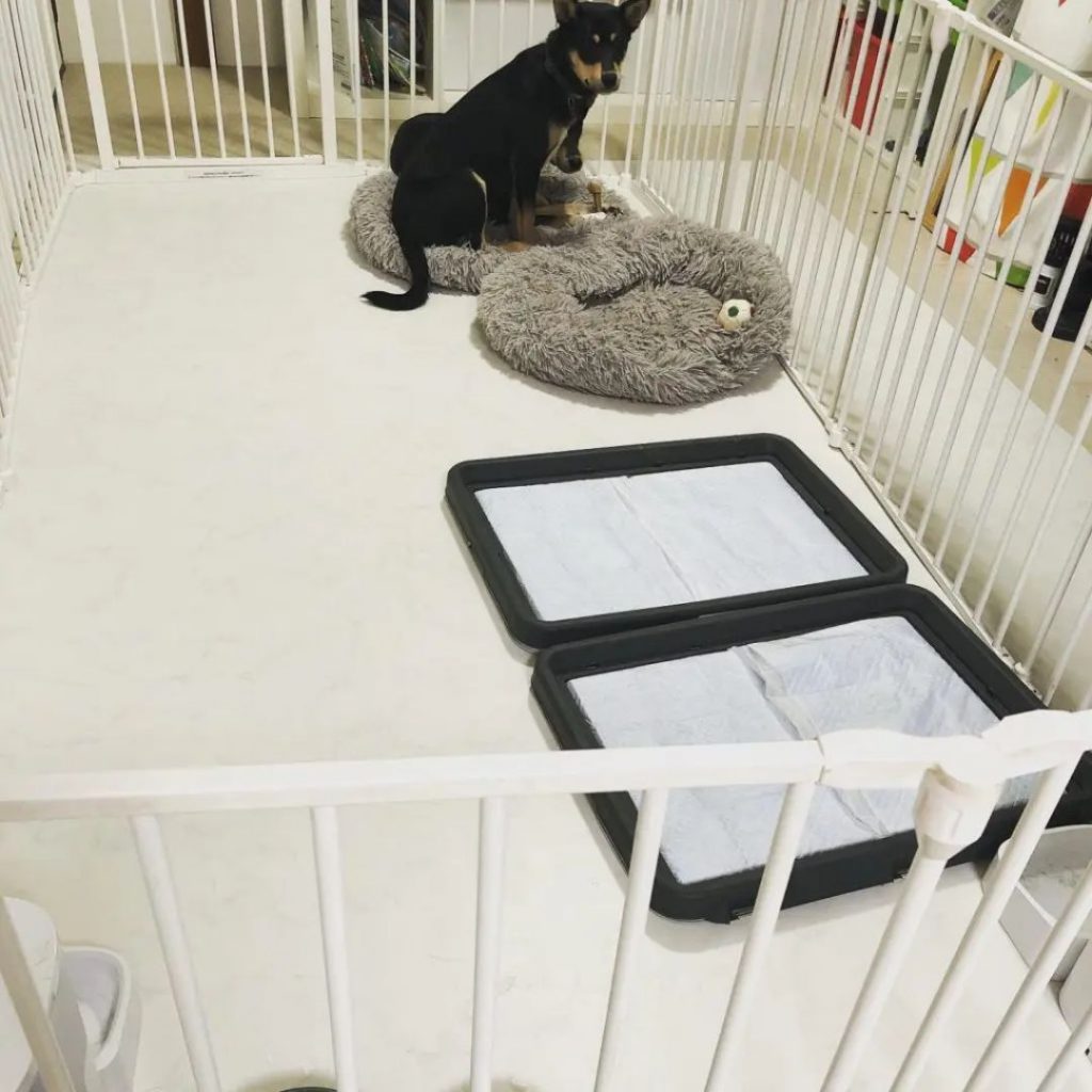 ペットスペースにクッションフロアをDIYで敷いた実例｜犬用ベッドとトイレトレーを置いた快適な空間