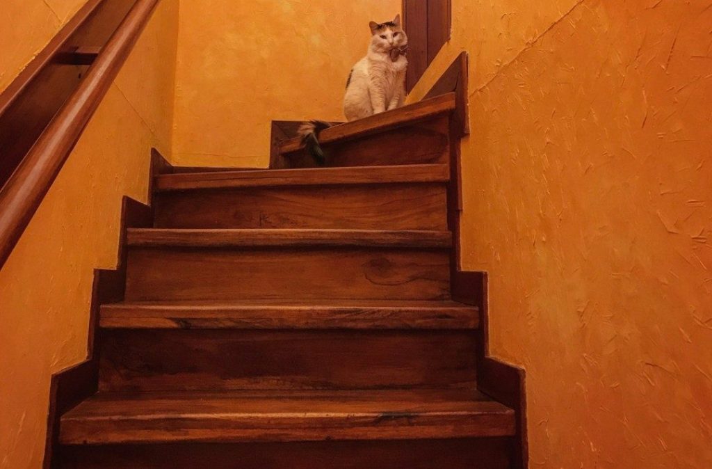 踏板と蹴込板のデザインを統一した室内階段のイメージ｜一体感のある仕上がり（完成後）