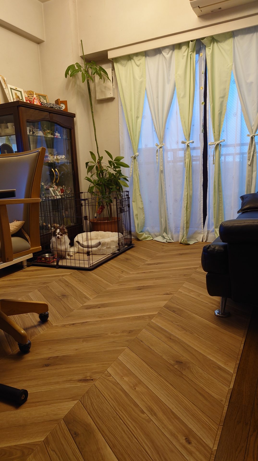 ラグリエのペットマット エルカムヘリンボーン 184cm幅(継ぎ目なし)をリビングに敷いた床DIY後の室内。木目調の柄が空間を明るく見せ、清潔感のある印象に仕上がっている様子。