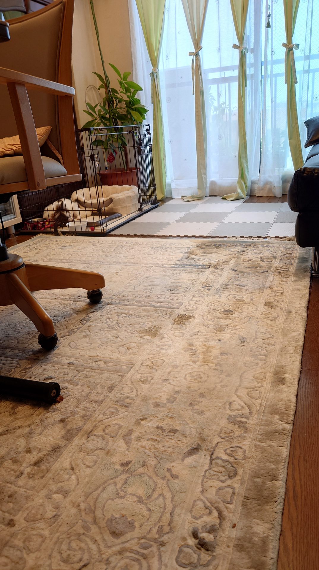 床DIY前のリビング。古いカーペットと小さなマットが敷かれた状態で、部分的に色ムラや汚れが見られる様子。