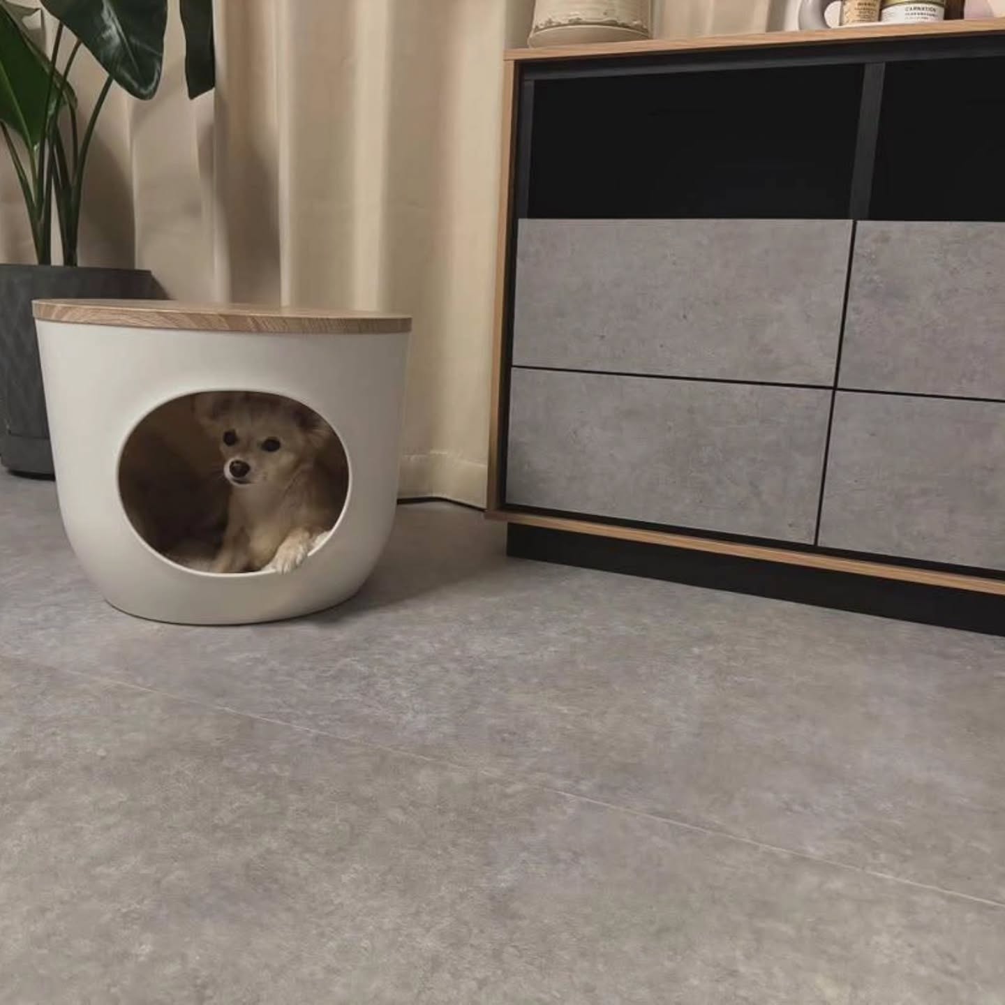 LDKに敷いたペットマット〈モルタル〉の上でくつろぐ愛犬らてちゃん。明るいリビングに馴染むグレートーンの床。