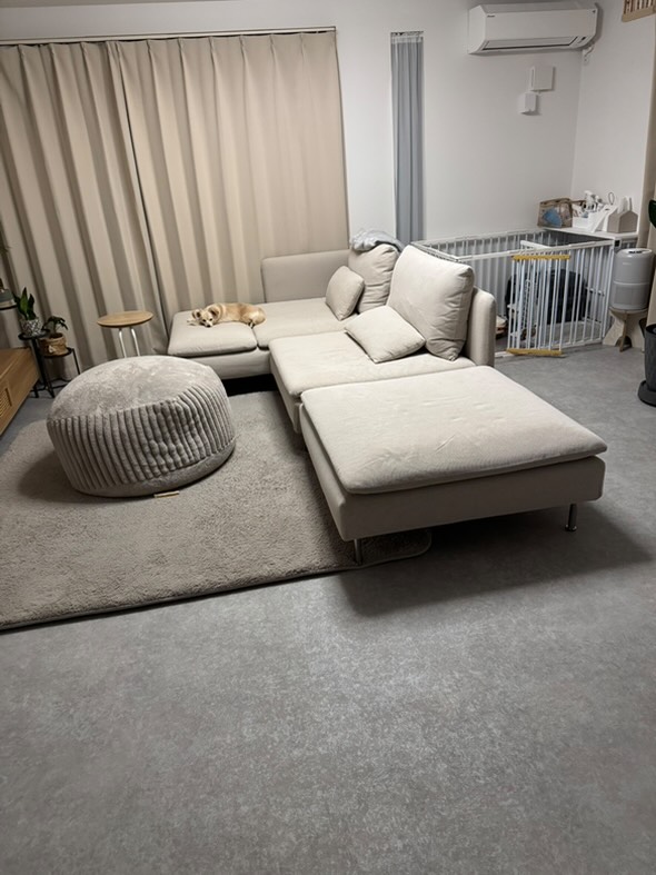 ラグリエのペットマット〈モルタル〉をリビング全面に敷いた様子。グレー系のマットが空間になじみ、インテリアがより上質な印象に