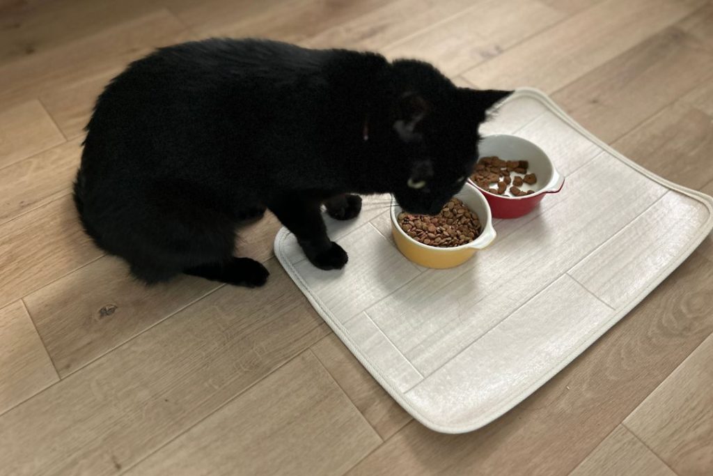 ラグリエのペット用食事マット「mogmog」木目柄。黒猫がフードボウルで食事をしている様子。