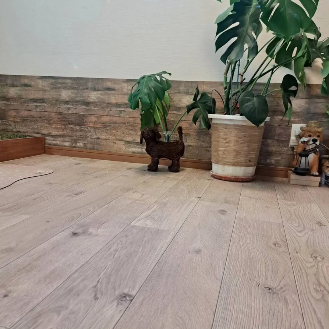 ラグリエのペットマット〈ホワイトオーク〉の上でくつろぐゴールデンレトリバーとマルチーズ。快適な床で安心して過ごしている様子。