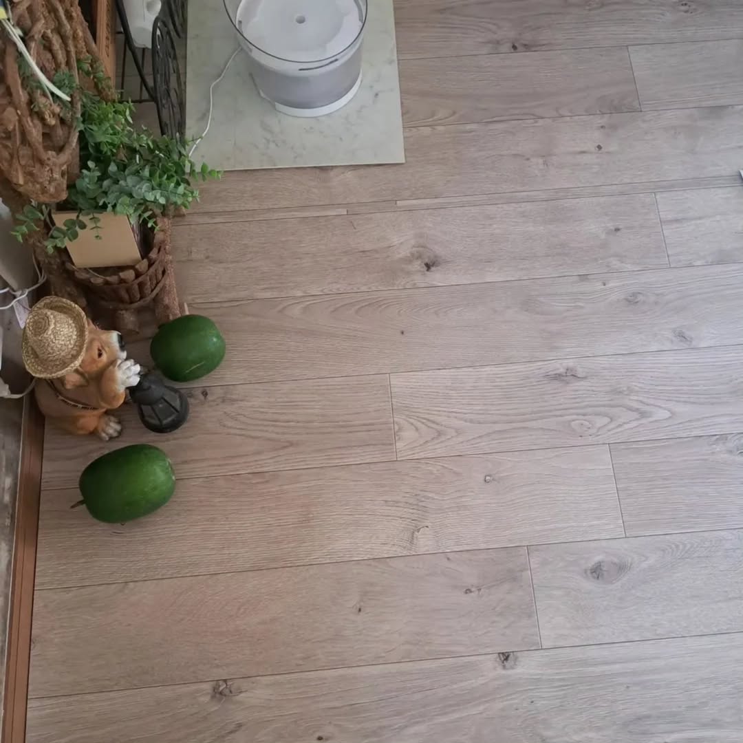 ペットマット〈ホワイトオーク〉を敷いたトイレ前の床。水滴や汚れも拭き取りやすく清潔に保てる。