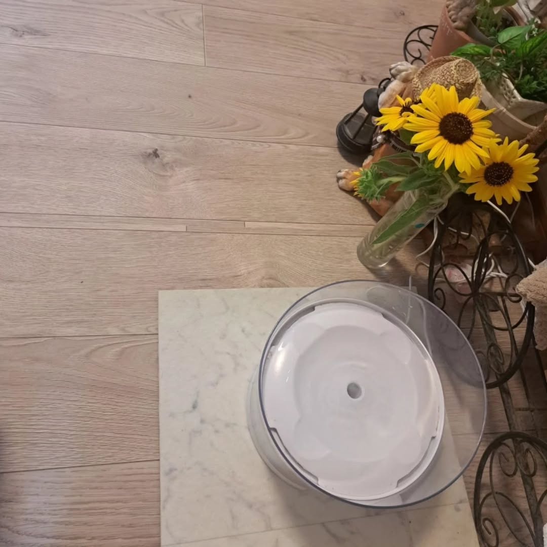 ホワイトオークのフロアマット上でくつろぐ犬と、明るい木目の床。