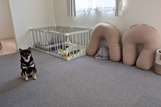 賃貸リビングに敷かれていた以前の布製マットのBefore写真。抜け毛や汚れが気になっていた状態を示す比較用の写真。