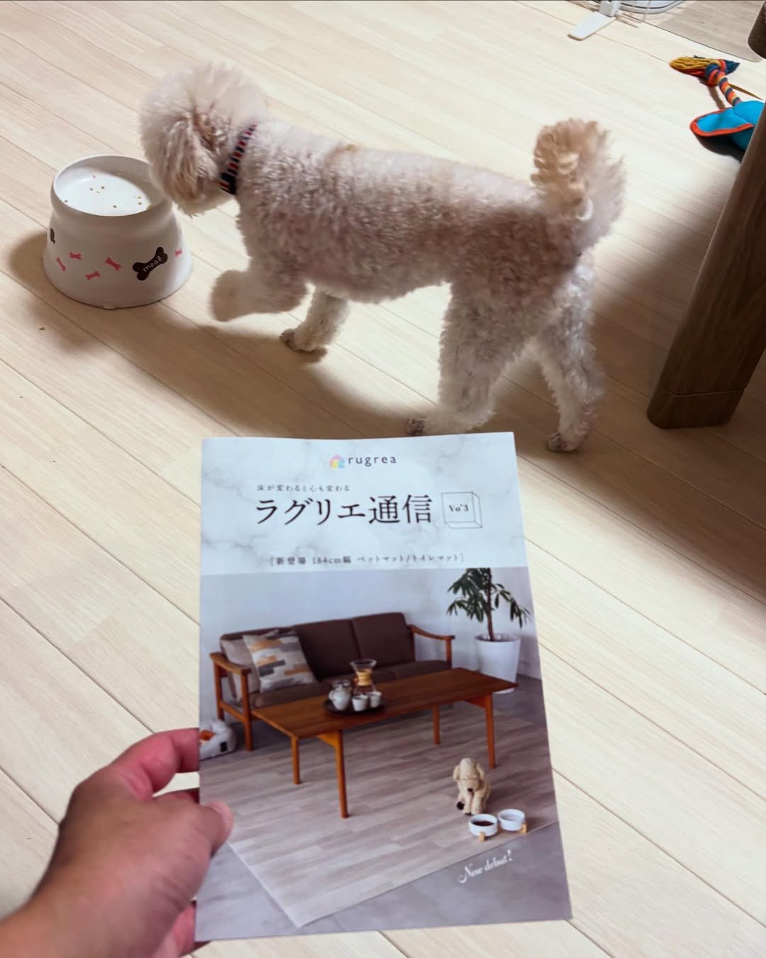 リビングにノーザンオーク柄のクッションフロアを敷き、明るくナチュラルな雰囲気に整えた様子