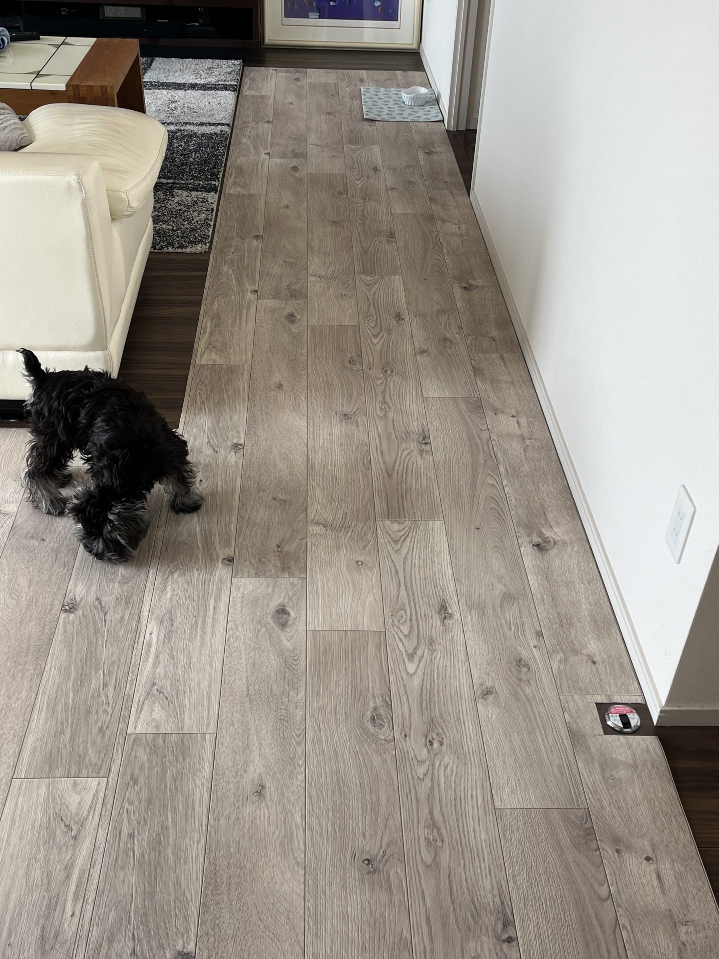 ラグリエのペットマット ホワイトオークをリビングの床に敷いた様子。吸着滑り止めテープで継ぎ目を固定し、小型犬が歩きやすい滑りにくい床DIY。
