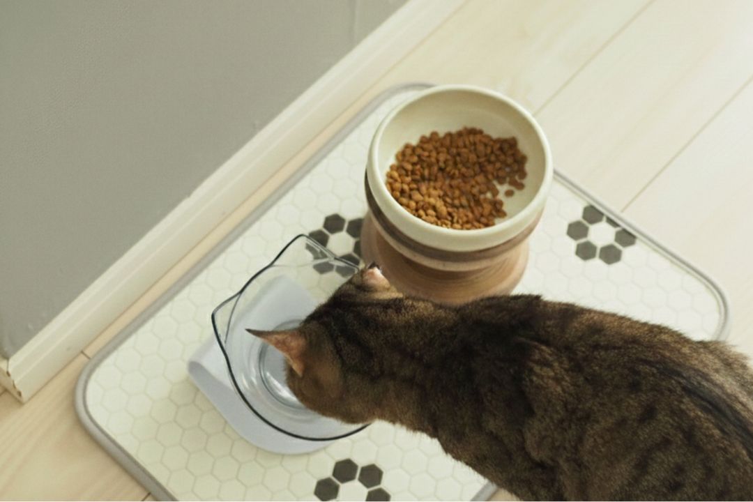 ラグリエのペット用食事マットmogmog ヘキサタイル柄の上で猫が水を飲む様子