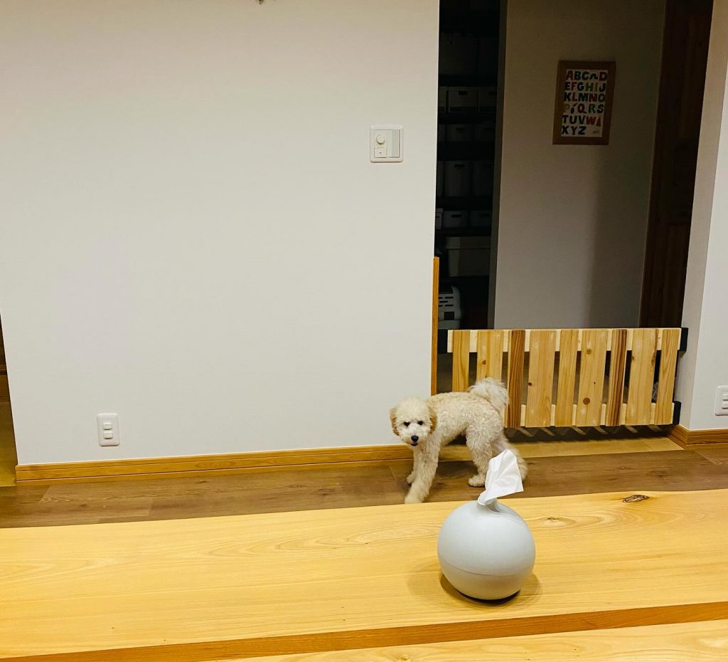 木目柄のクッションフロアを敷いたリビングで過ごす犬