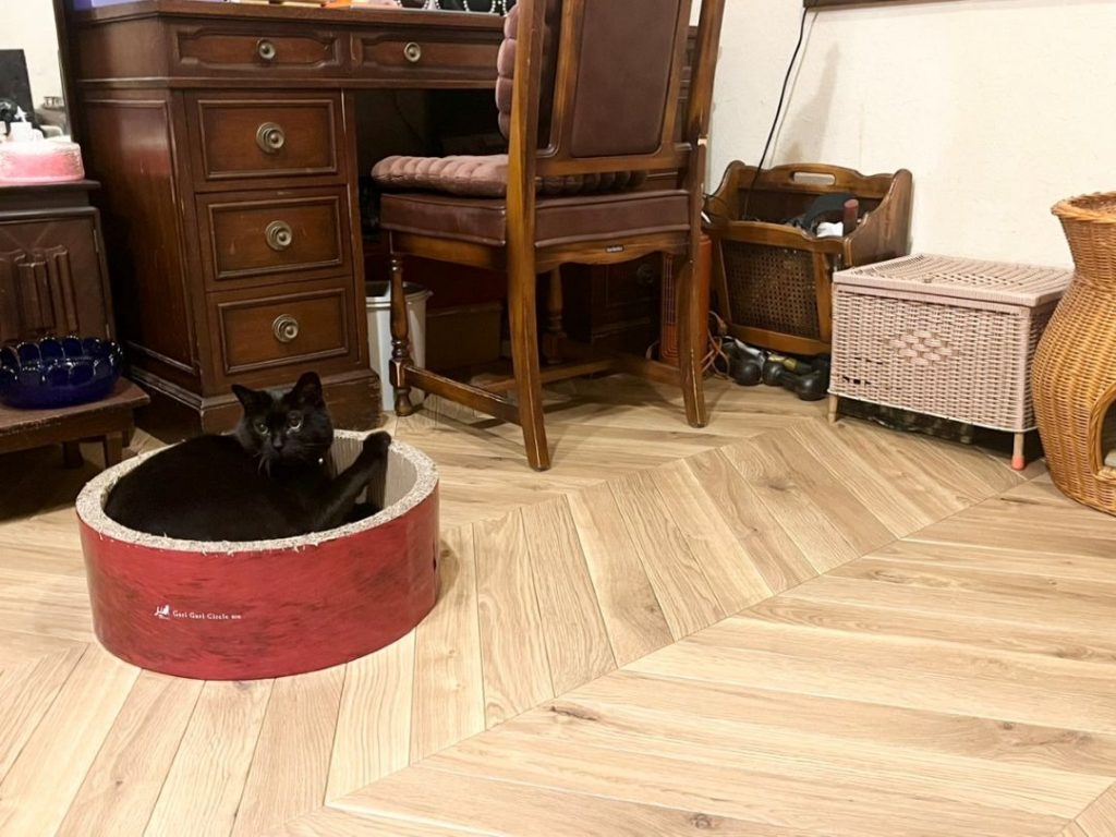 ペットマットを敷いたリビングでくつろぐ猫