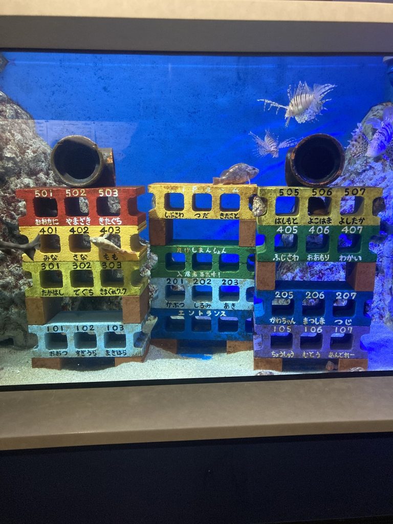 竹島水族館の手描き展示案内。マンボウやサメについて紹介する掲示