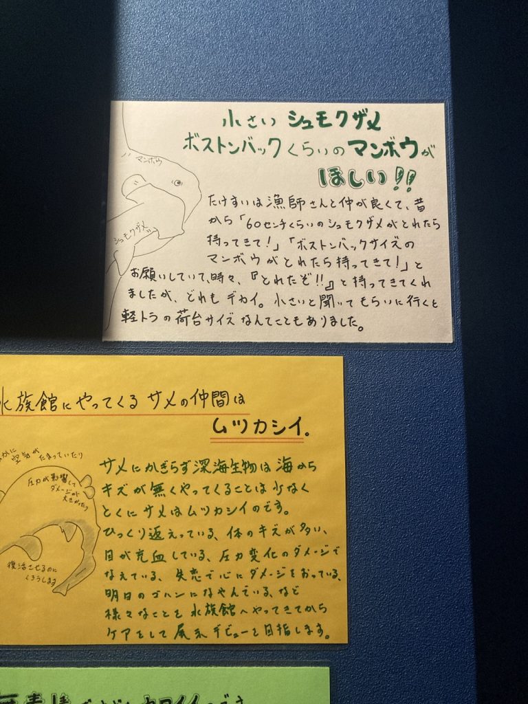 竹島水族館の水槽に並ぶ魚たちの名前が書かれた展示