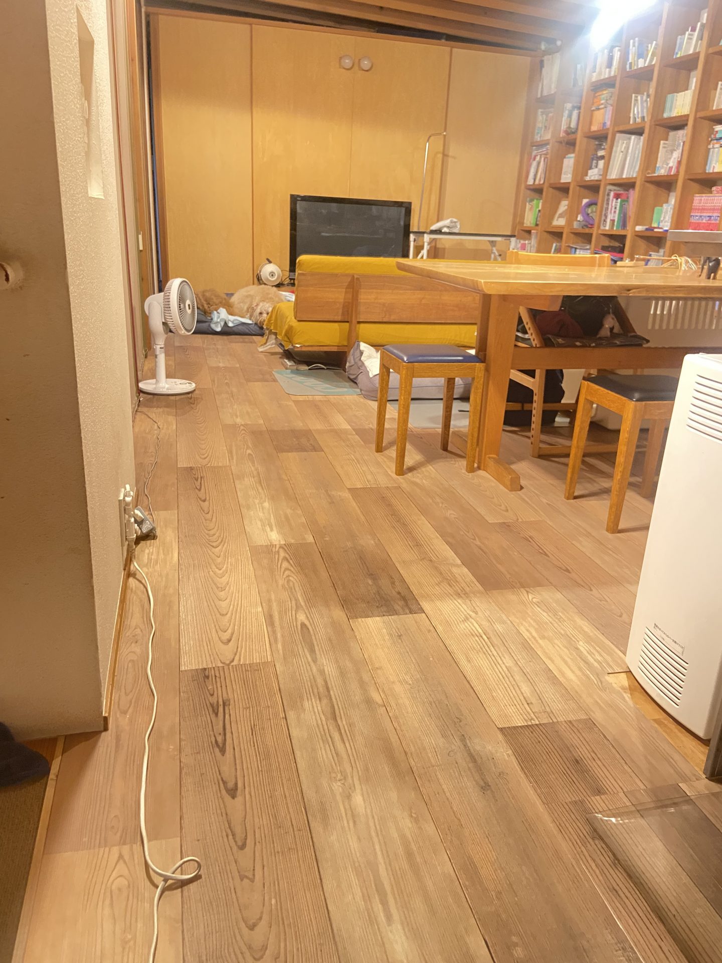 ラグリエのペットマット フォースエイジドシダー 184cm幅を広範囲に敷いたお部屋。木目のある床に変わり、愛犬が過ごしやすい空間に整えた様子。