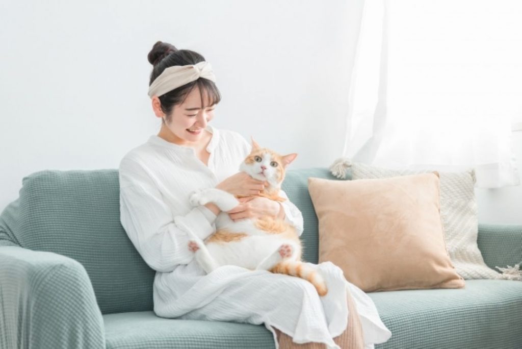 ソファの上で、笑顔で保護猫と戯れる女性。