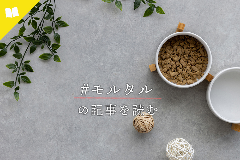 #モルタル の記事を読む
